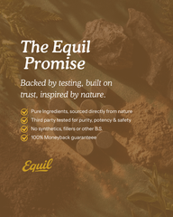 Pure Mineral Shilajit Tablets