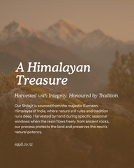 Pure Mineral Shilajit Tablets