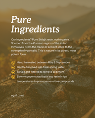 Pure Mineral Shilajit Tablets