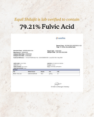 Pure Mineral Shilajit Tablets