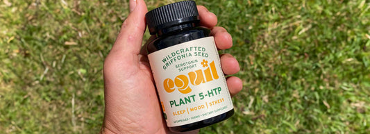 Unlocking Better Sleep: How Plant-Based 5-HTP Can Transform Your Nights