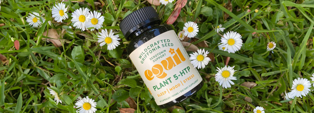 5 Ways Plant-Based 5-HTP Supports Your Mental Health and Well-being