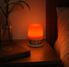 Red LED Lamp
