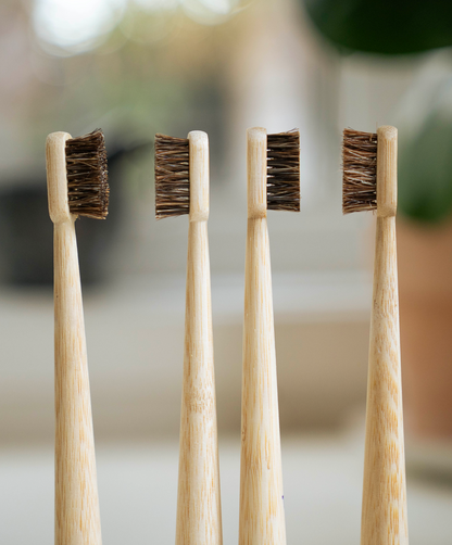 Four bamboo toothbrushes with natural horse hair bristles standing side by side