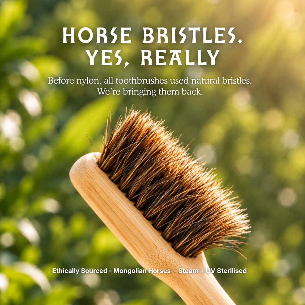 Horse Bristle & Bamboo Toothbrush