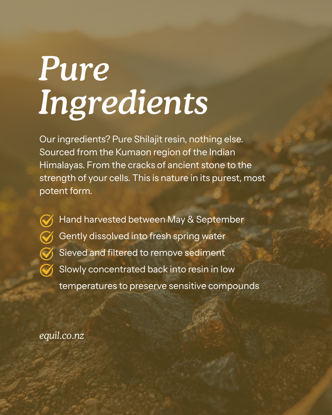 Pure Mineral Shilajit Tablets
