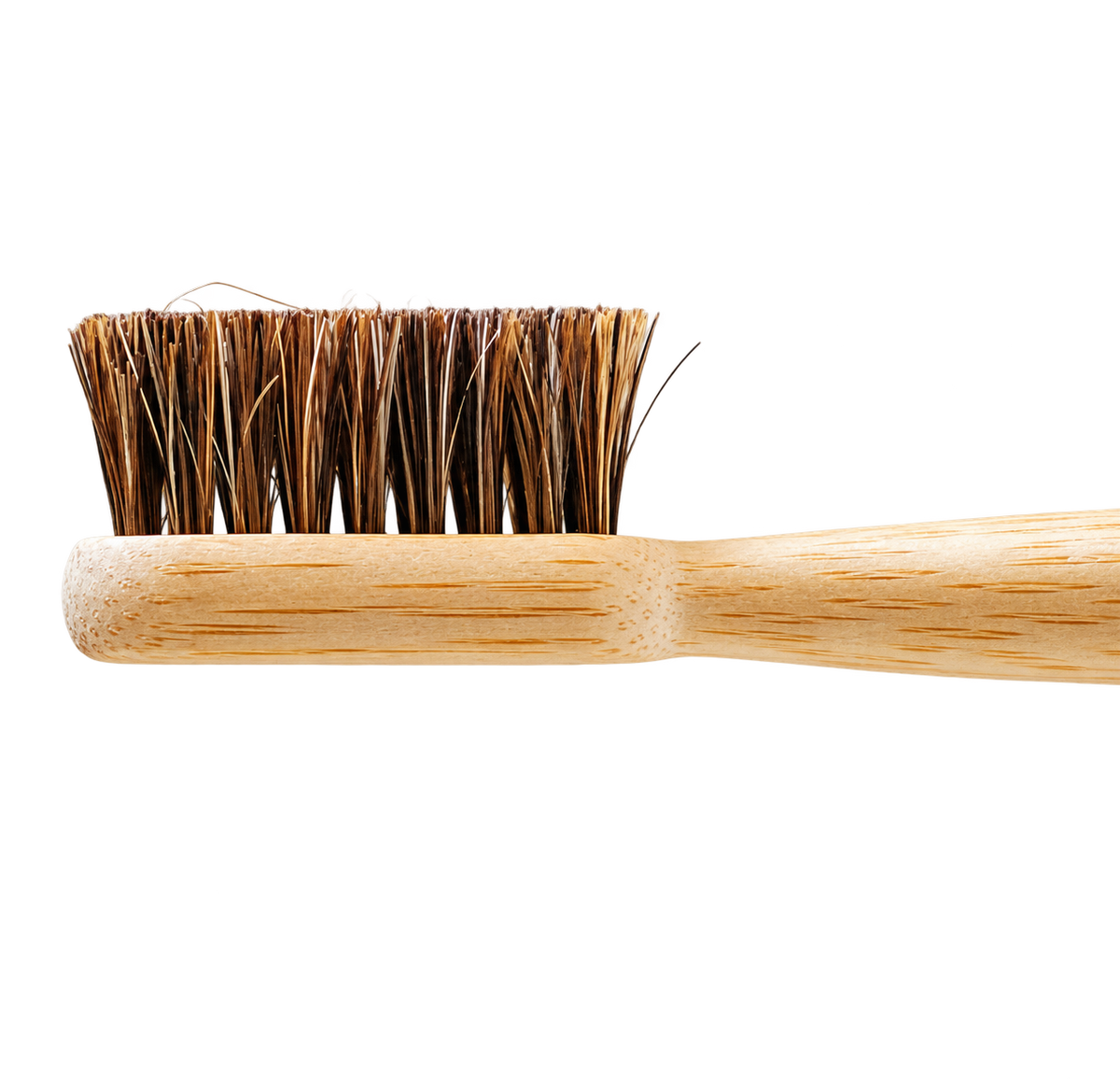 Side-on close-up of an Equil bamboo toothbrush head showing natural horsehair bristles