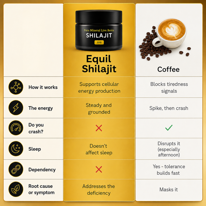 Pure Mineral Shilajit RESIN